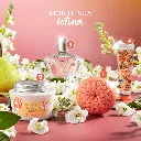 LINHA COMPLETA NINFA.webp