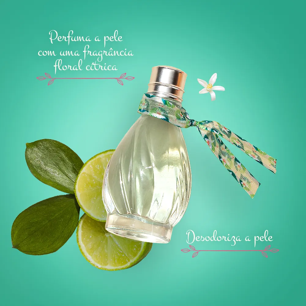 1000x1000_pomar limão 03.webp