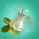 1000x1000_pomar limão 03.webp