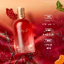 DEO COLÔNIA BRÉSIL 2.webp