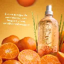 BROBVS100779_CAPIM-LIMÃO TANGERINA.webp